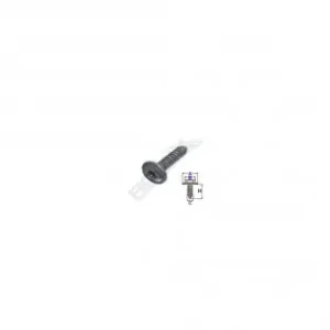 Surub Fixare Universal Torx 4.2X25Mm Set 100 Buc Reducere de preț