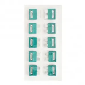 Ofertă de sezon Blister Sigurante Fuzibile Verzi 30A Set De 10 Buc