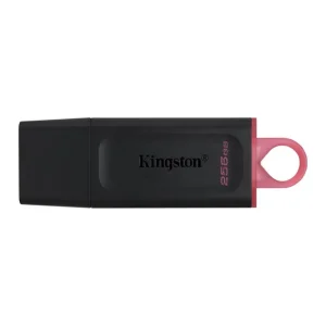 Memory drive flash usb3.2/256gb dtx/256gb kingston Discount