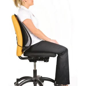 Cumpără online SUPORT ERGONOMIC PENTRU SPATE MESH FELLOWES