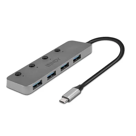 Super ofertă Hub Lindy cu 4 porturi USB 3.2 Gen,