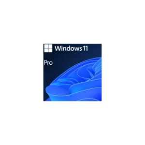 Sw win pro n 11 64-bit all lng pk lic online dwnld nr ms Disponibil imediat
