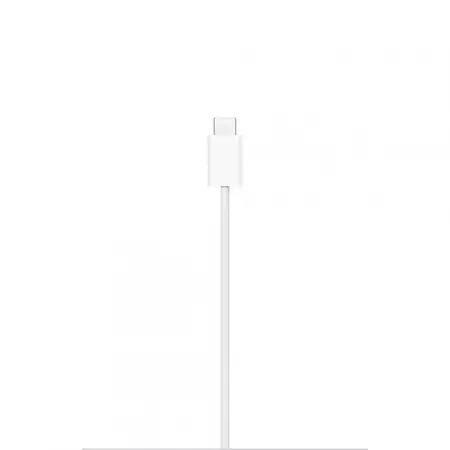 Expediere rapidă MagSafe Charger (1 m)