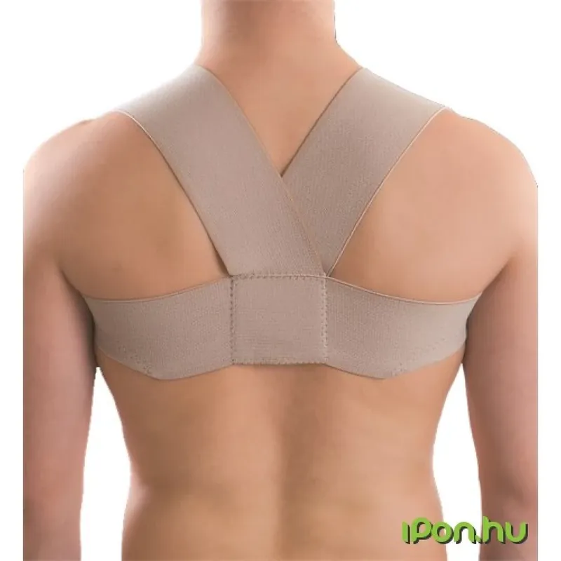 ANATOMIC HELP Întreținere corectivă în cazul în care curea L Cumpără online