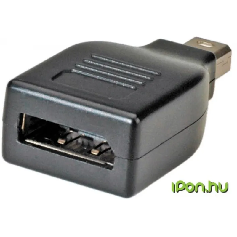 ROLINE DisplayPort Mini DisplayPort Convertor Negru 4cm 12.03.3130 Ofertă specială