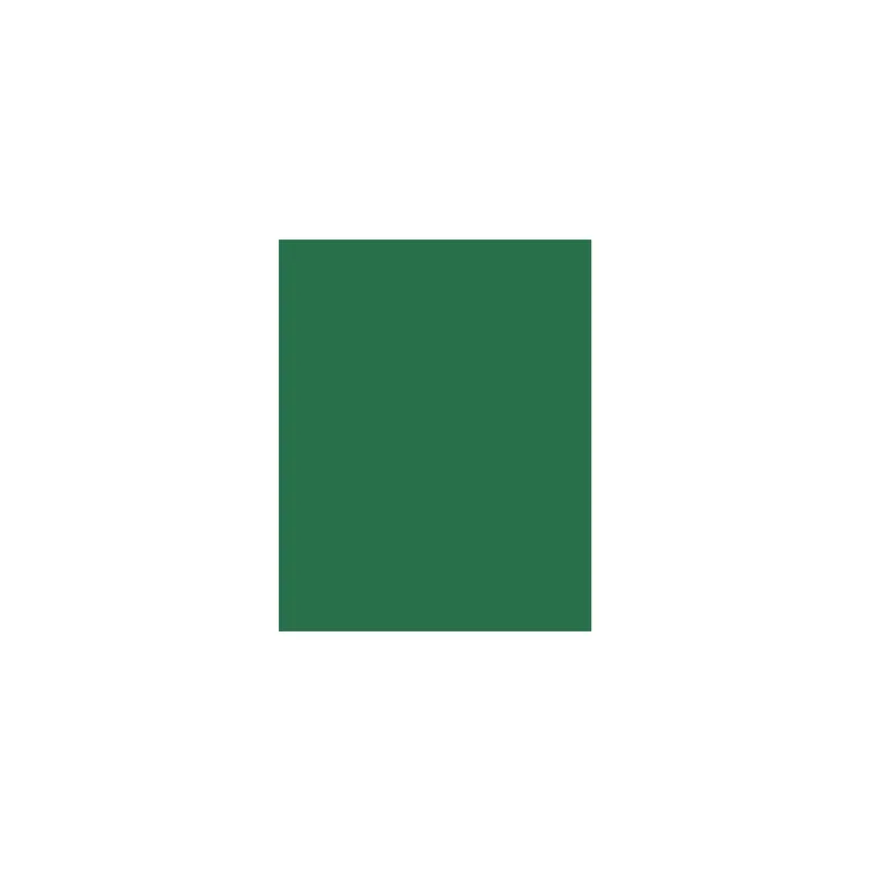Bestseller FOLIA Color hârtie A3 130g 50 lap pin verde