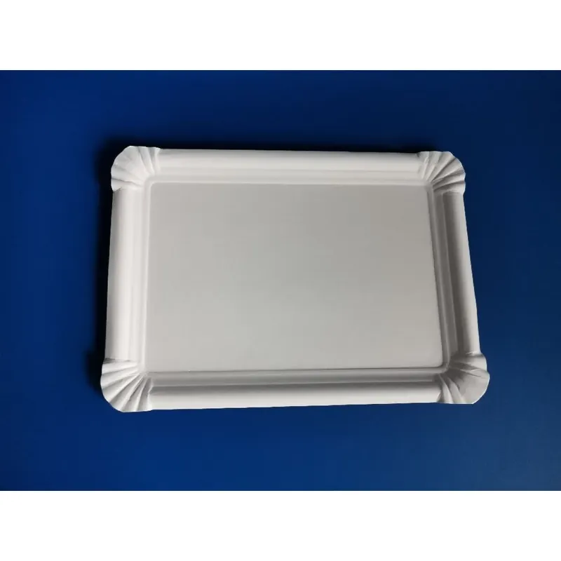 Expediere rapidă 14253 hârtie Tavă 17x24cm 250 db/cs