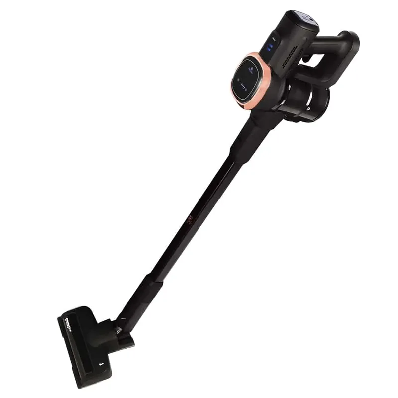 BERLINGER HAUS Black Rose Collection Aspirator BLDC cu motor 220W Negru Cumpără online