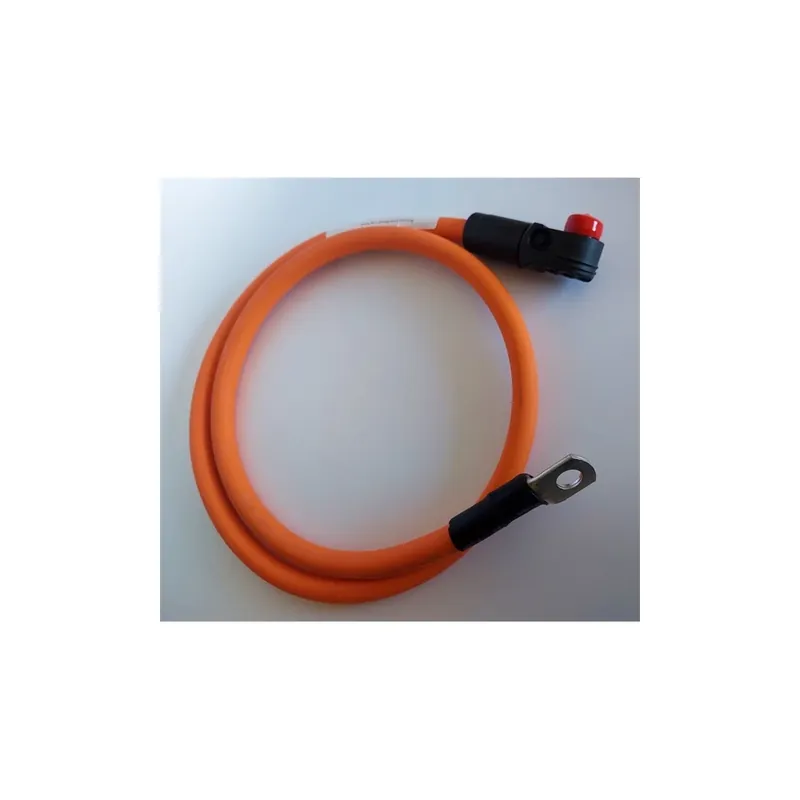 Plată sigură Beenergy cablu 95mm2 1.5m negru
